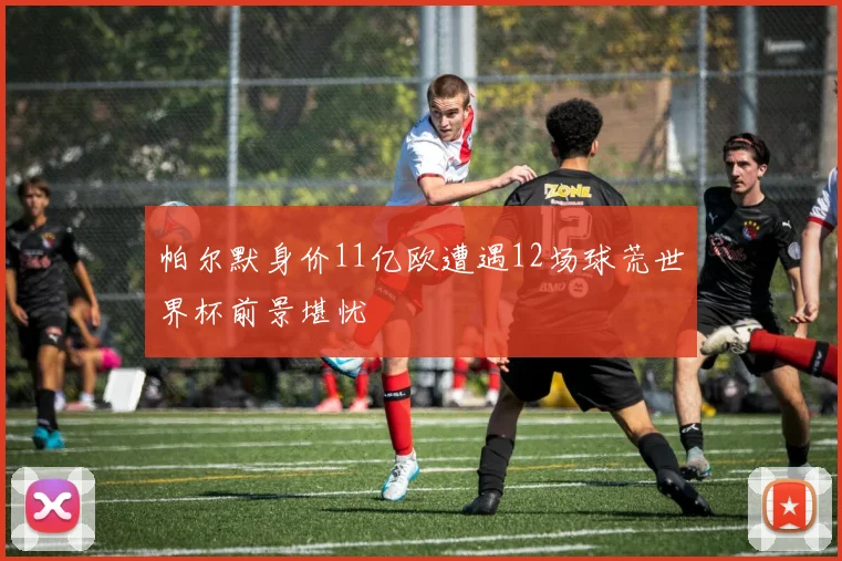 帕尔默身价11亿欧遭遇12场球荒世界杯前景堪忧