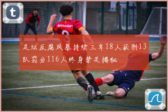 足坛反腐风暴持续三年18人获刑13队罚分116人终身禁足揭秘